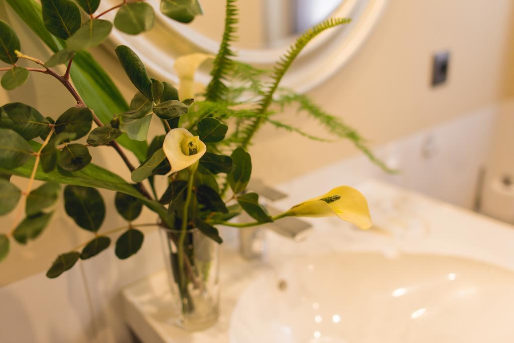 Ab Apartamentos Trinidad Málaga Rom bilde